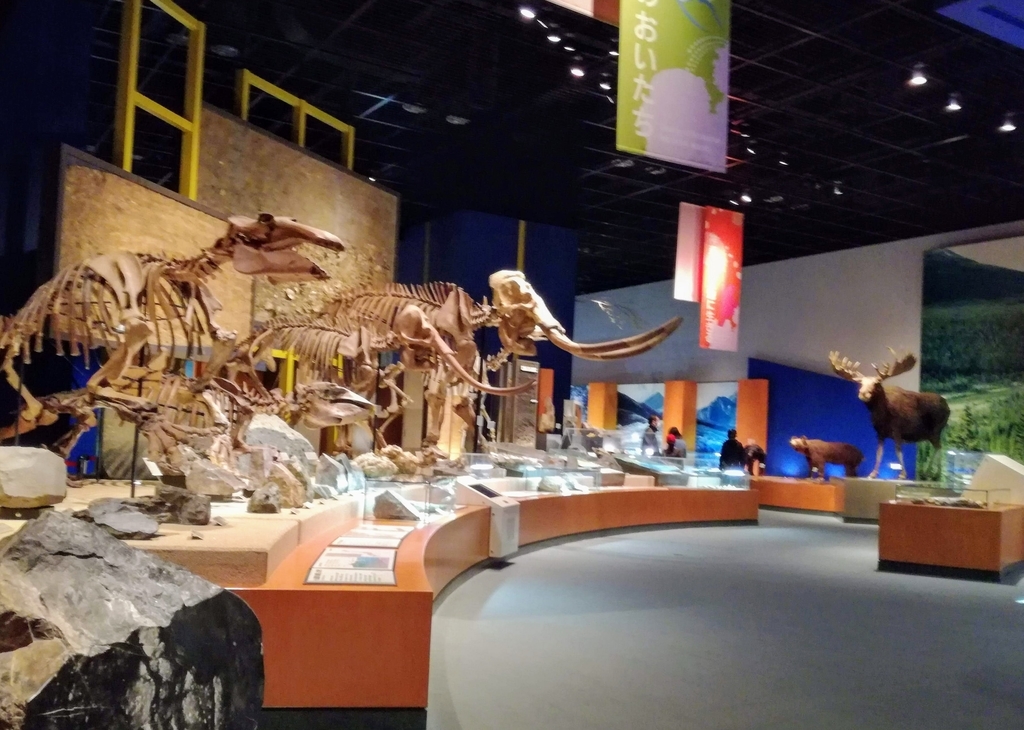 f:id:oh_ocean:20190310181543j:plain