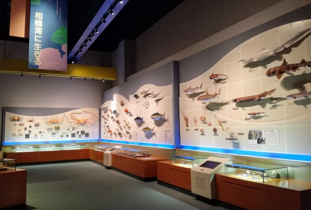 f:id:oh_ocean:20190310181553j:plain