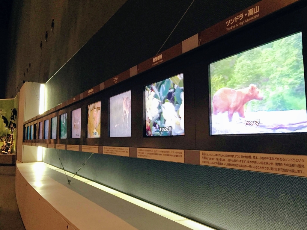 f:id:oh_ocean:20190310184208j:plain