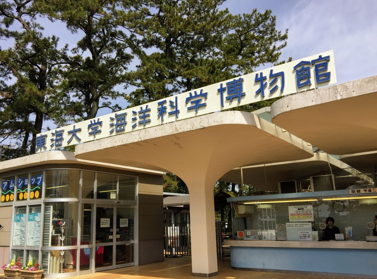 東海大学海洋科学博物館の見どころ
