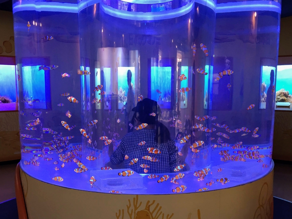 東海大学海洋科学博物館の見どころ