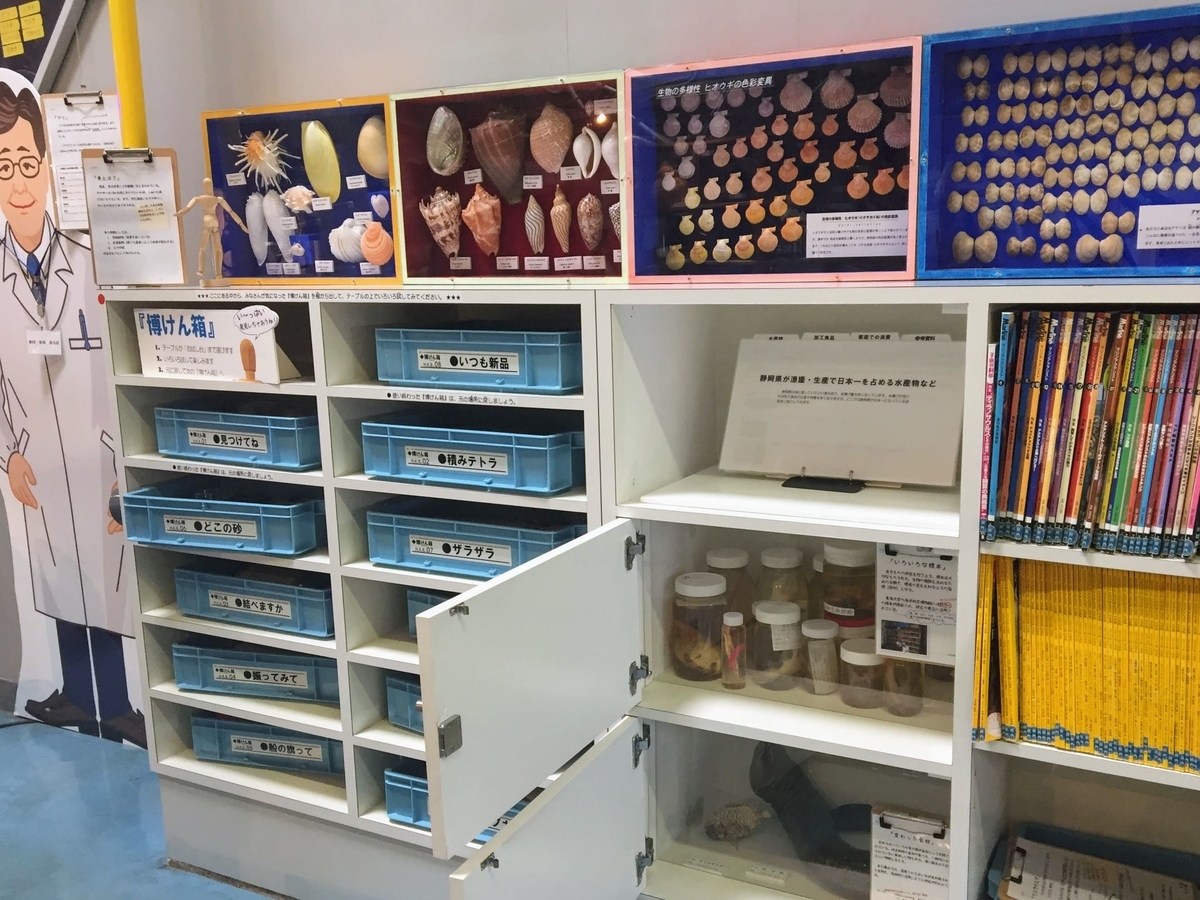 東海大学海洋科学博物館の見どころ