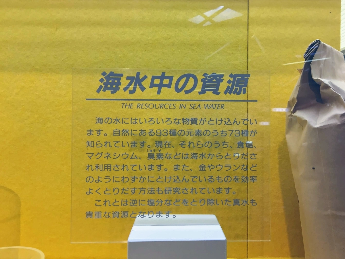 東海大学海洋科学博物館の見どころ
