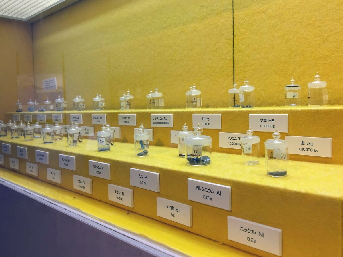 東海大学海洋科学博物館の見どころ