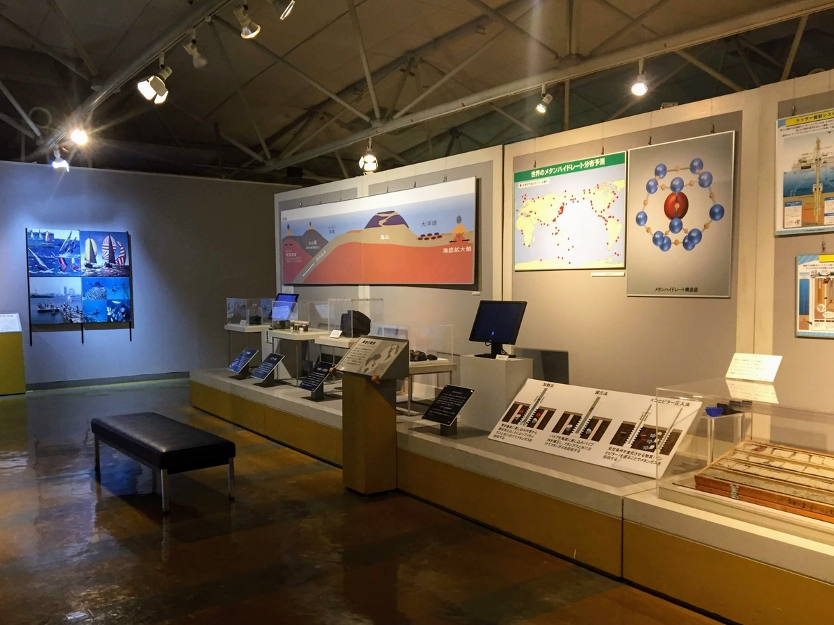 東海大学海洋科学博物館の見どころ