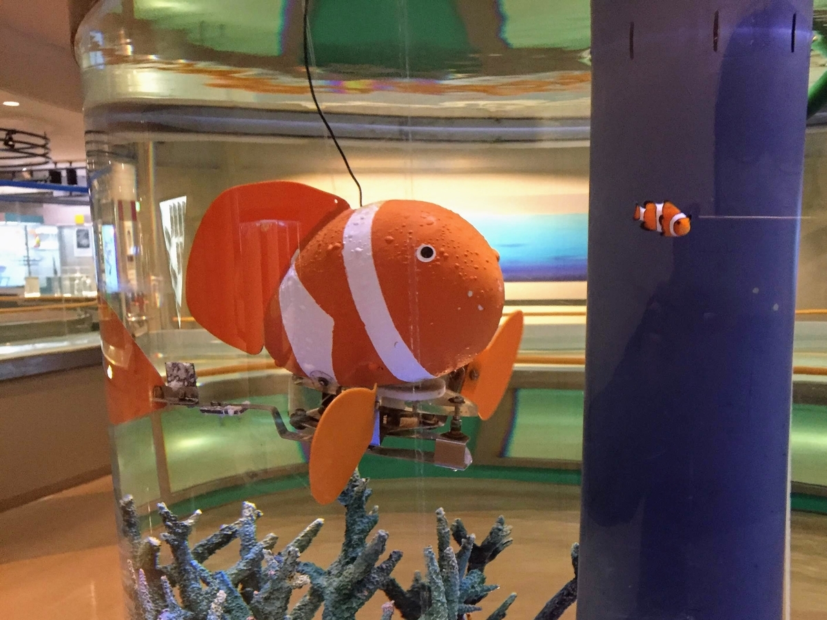 東海大学海洋科学博物館の見どころ