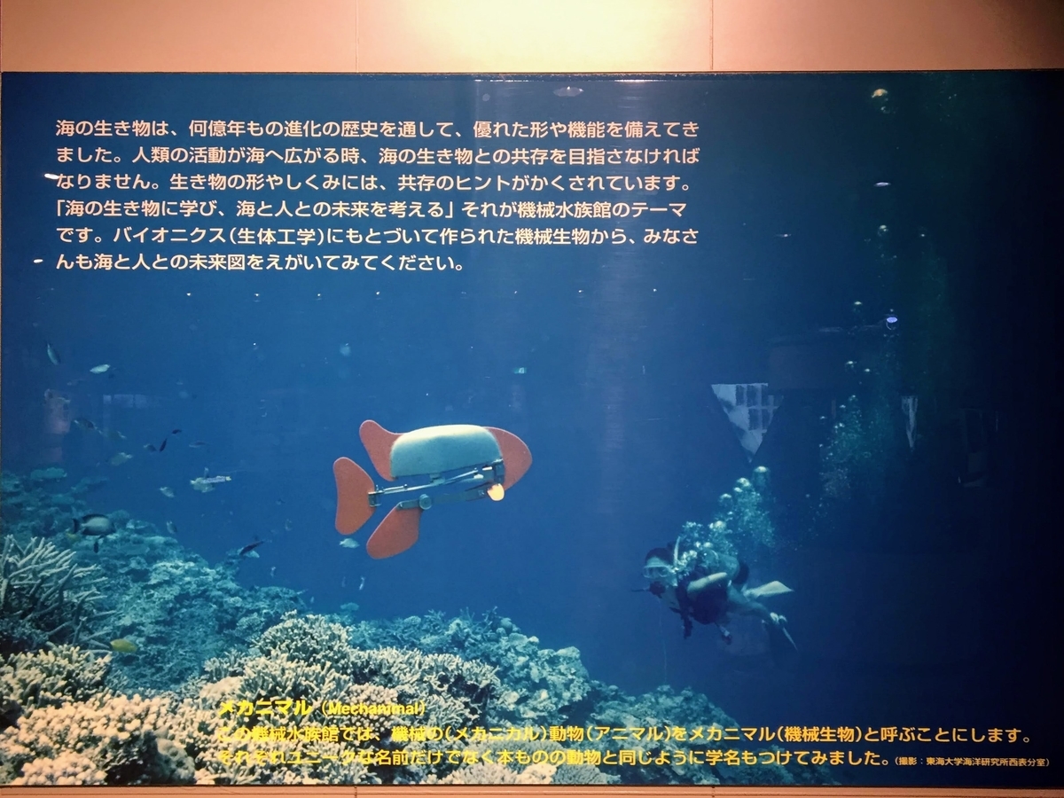 東海大学海洋科学博物館の見どころ