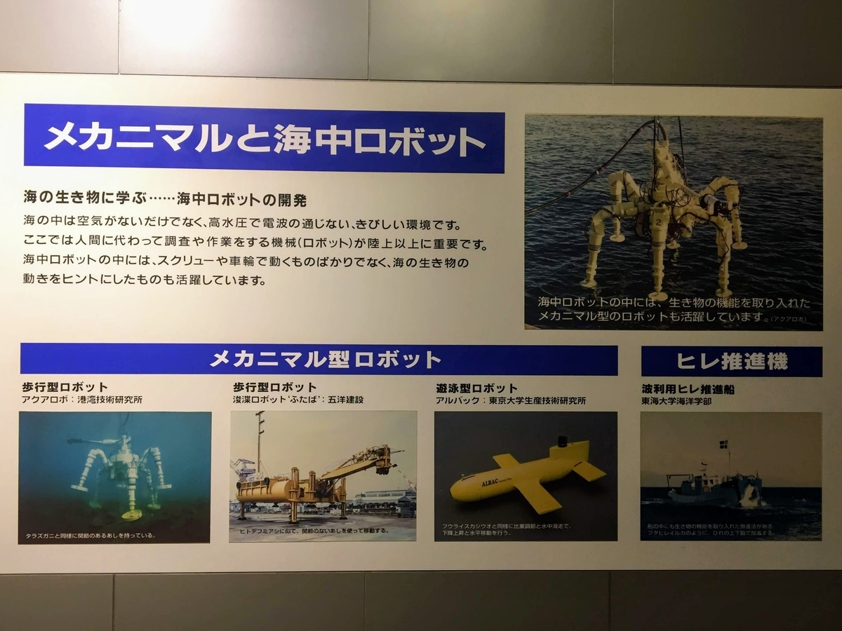 東海大学海洋科学博物館の見どころ