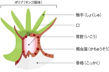 f:id:oh_ocean_m:20190324172332g:plain