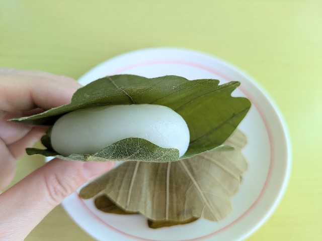 f:id:ohagi1979:20250505132504j:image