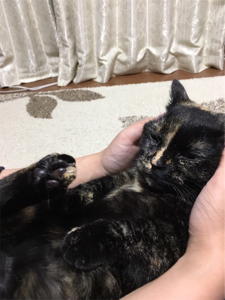 f:id:ohagi711:20170516232245j:image