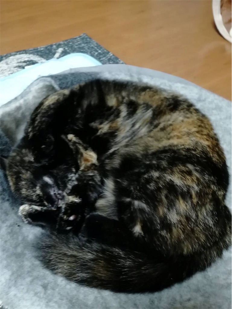 f:id:ohagi711:20180524205514j:image