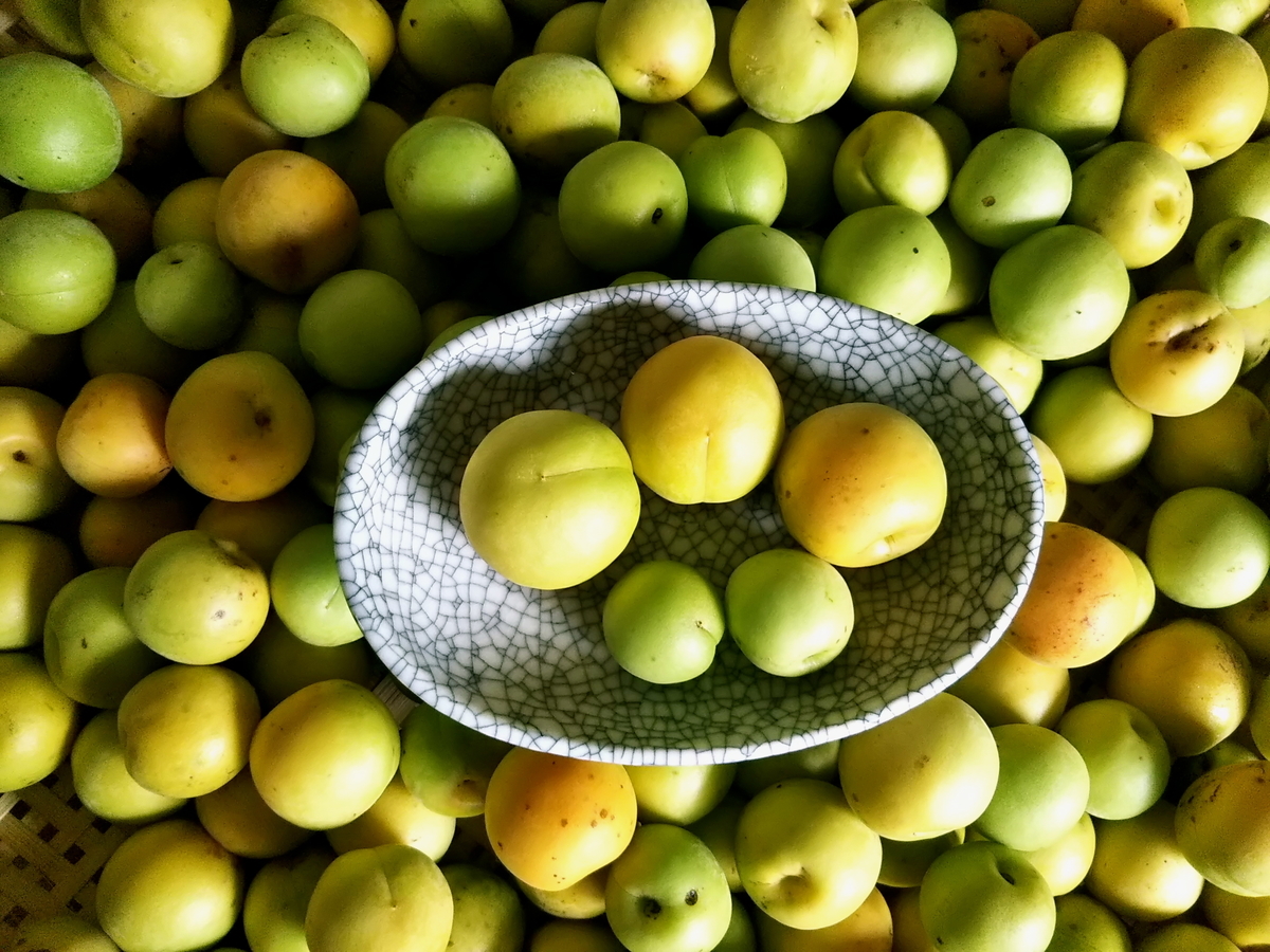 f:id:ohagi88:20200704164635j:plain f:id:ohagi88:20200704164635j:plain