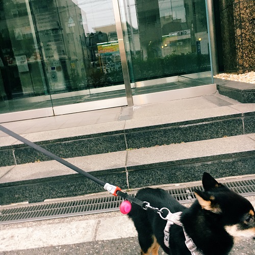 f:id:ohagimame:20180212102228j:plain