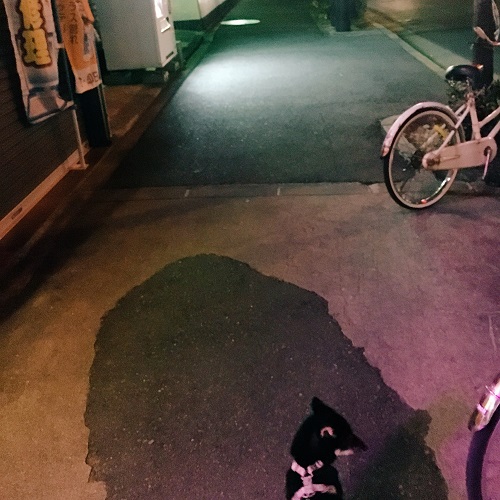 f:id:ohagimame:20180212102235j:plain