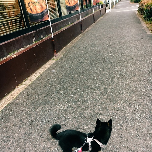 f:id:ohagimame:20180212102239j:plain