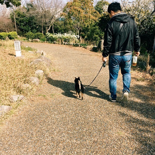 f:id:ohagimame:20180402101752j:plain f:id:ohagimame:20180402101752j:plain