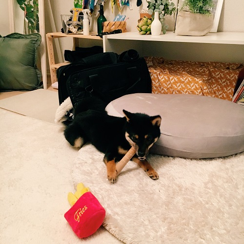 f:id:ohagimame:20180405140534j:plain