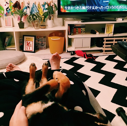 f:id:ohagimame:20180420134612j:plain
