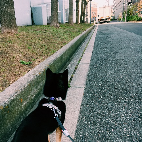 f:id:ohagimame:20180420134626j:plain