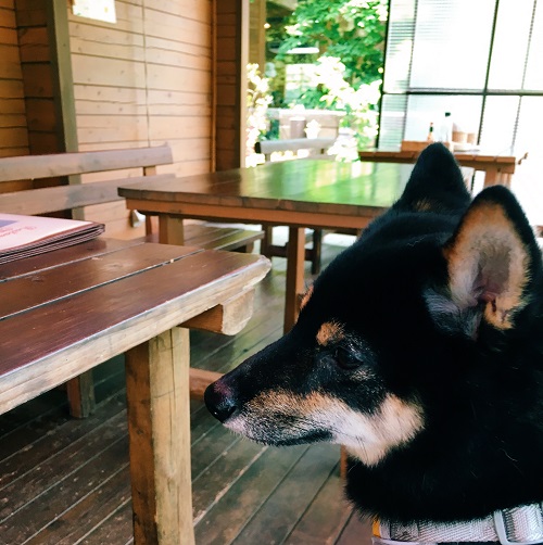 f:id:ohagimame:20180604102118j:plain