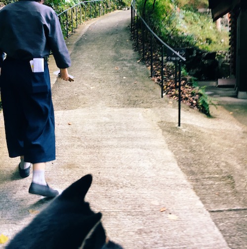 f:id:ohagimame:20181030074625j:plain