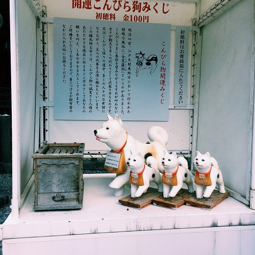 f:id:ohagimame:20181101103507j:plain