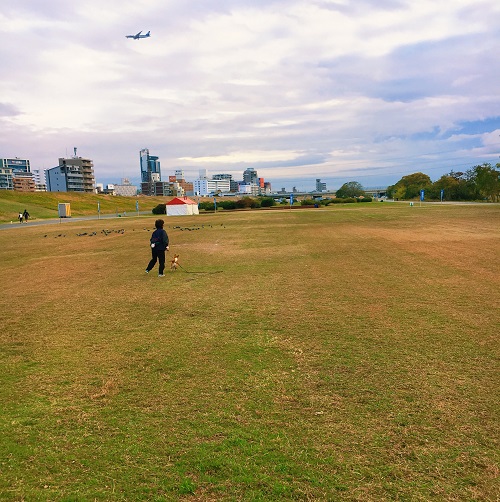 f:id:ohagimame:20181105102051j:plain