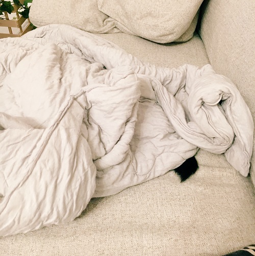 f:id:ohagimame:20181205103833j:plain