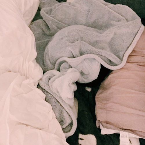 f:id:ohagimame:20181221145724j:plain f:id:ohagimame:20181221145724j:plain