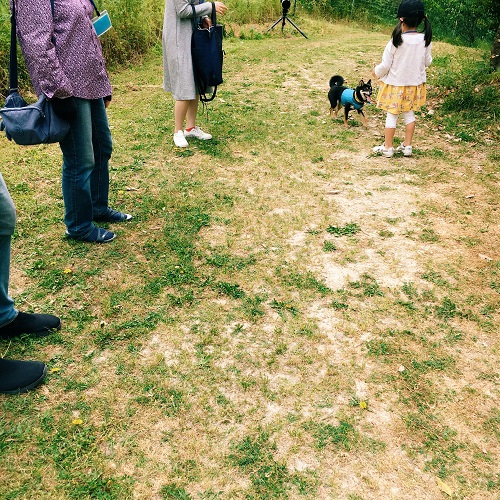 f:id:ohagimame:20190520101206j:plain