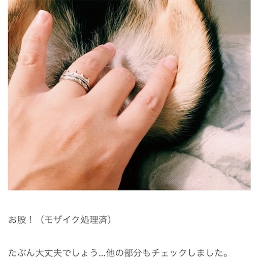 f:id:ohagimame:20190524100213j:image f:id:ohagimame:20190524100213j:image