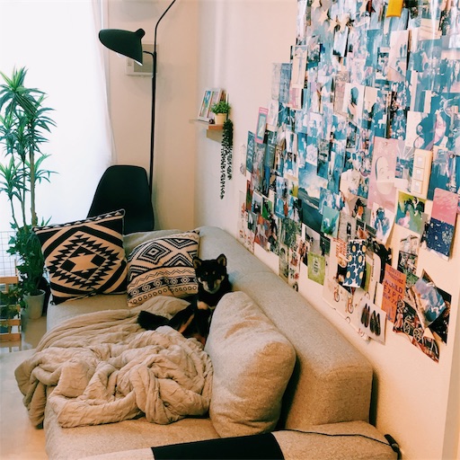 f:id:ohagimame:20190603090012j:image