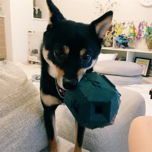 f:id:ohagimame:20190607092040j:image