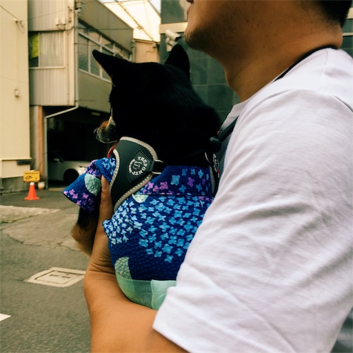 f:id:ohagimame:20190623193851j:image