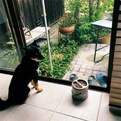f:id:ohagimame:20190623193938j:image