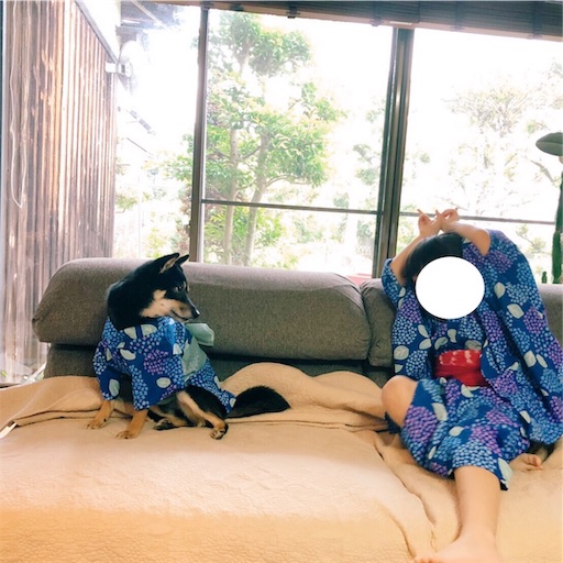 f:id:ohagimame:20190624095628j:image