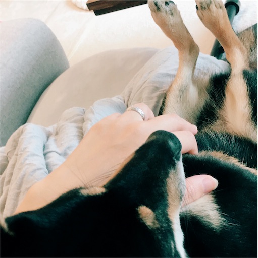 f:id:ohagimame:20190706234839j:image f:id:ohagimame:20190706234839j:image