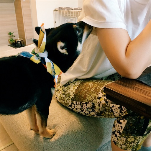 f:id:ohagimame:20190706234939j:image f:id:ohagimame:20190706234939j:image