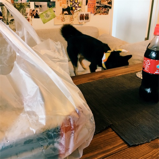f:id:ohagimame:20190706234959j:image f:id:ohagimame:20190706234959j:image
