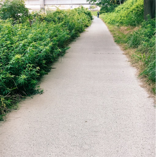 f:id:ohagimame:20190726074000j:image f:id:ohagimame:20190726074000j:image