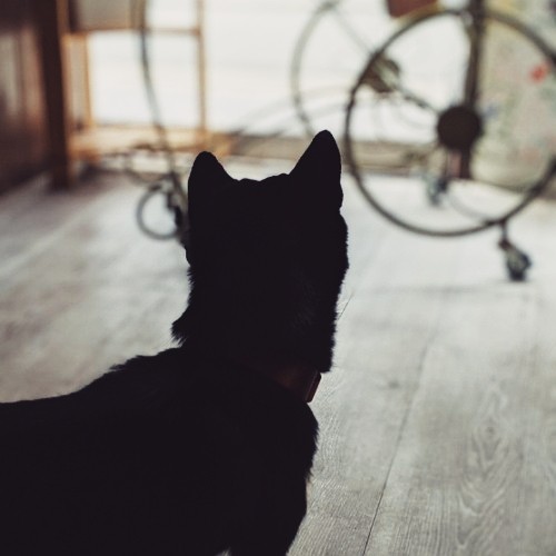 f:id:ohagimame:20190929134315j:image