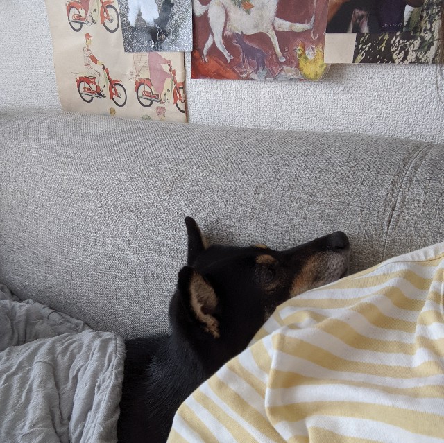 f:id:ohagimame:20191015164833j:image f:id:ohagimame:20191015164833j:image