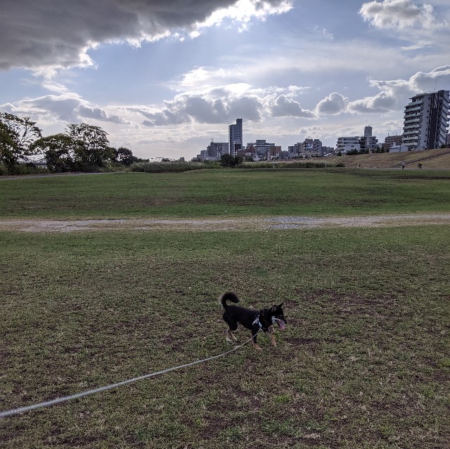 f:id:ohagimame:20191015165710j:image f:id:ohagimame:20191015165710j:image