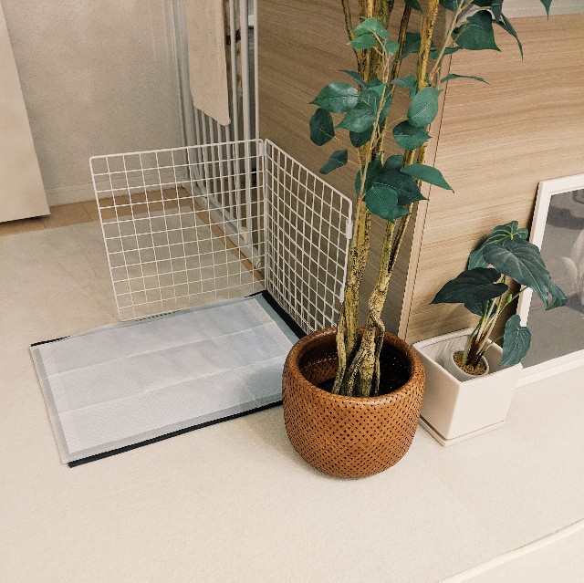 f:id:ohagimame:20191024172131j:image f:id:ohagimame:20191024172131j:image