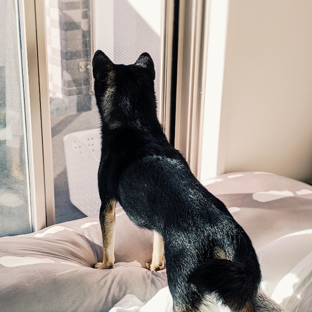 f:id:ohagimame:20191028080630j:image