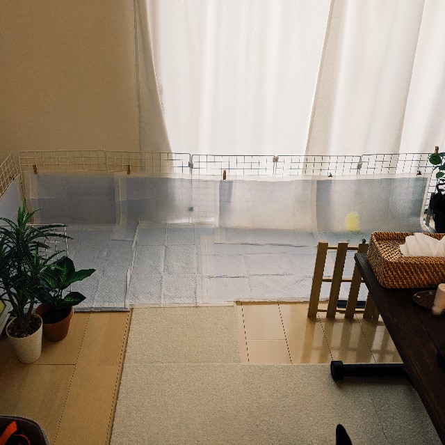 f:id:ohagimame:20191030091120j:image f:id:ohagimame:20191030091120j:image