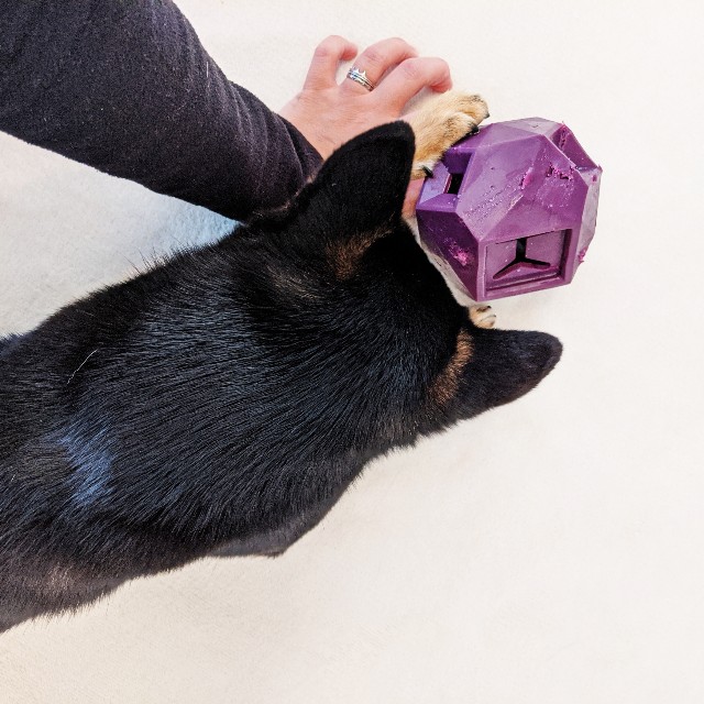 f:id:ohagimame:20191220083250j:image f:id:ohagimame:20191220083250j:image