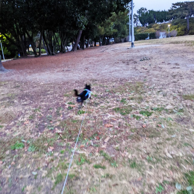 f:id:ohagimame:20191222084202j:image f:id:ohagimame:20191222084202j:image