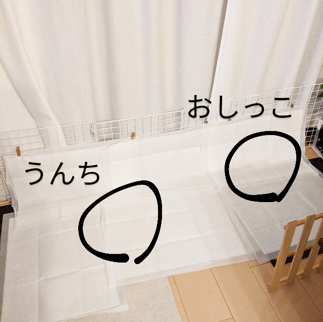 f:id:ohagimame:20200206073727j:image